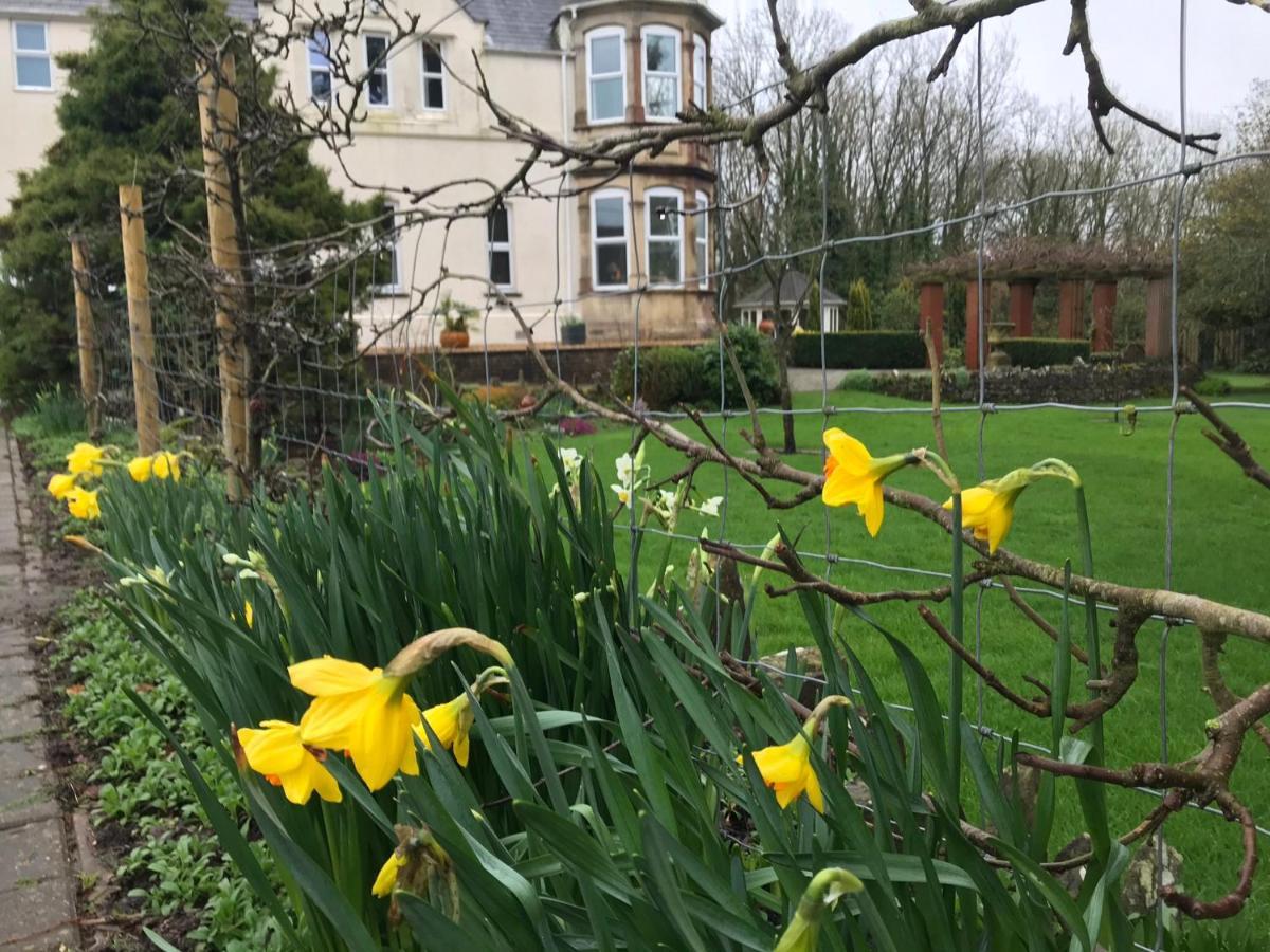 Holywell House B & B Evershot  Esterno foto